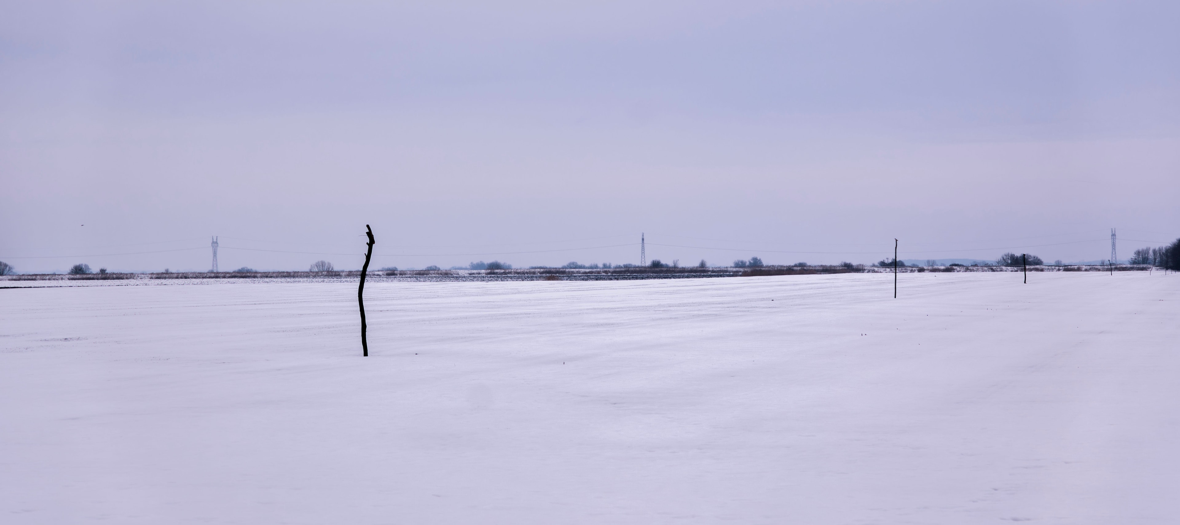 Landscapes — 11